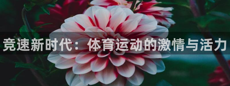 xc体育