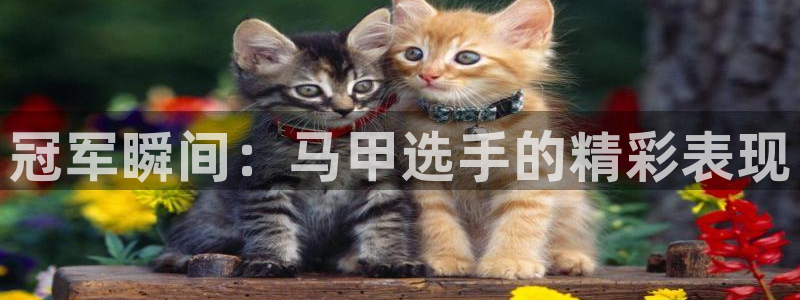 xc体育
