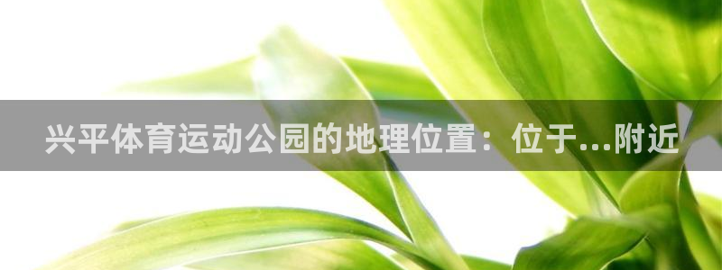 xc体育
