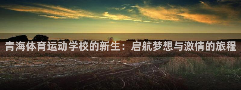 xc体育