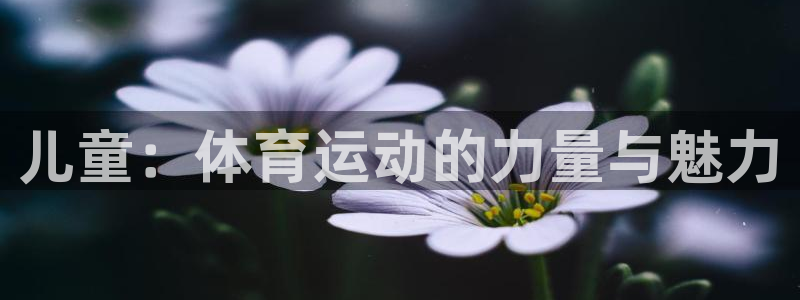 xc体育app官方网站