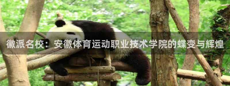 xc体育app官方网站