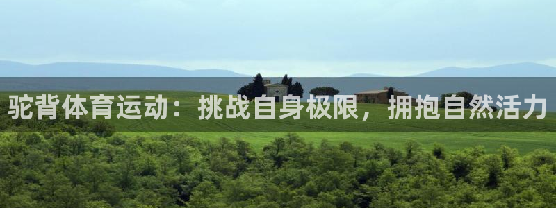 xc体育