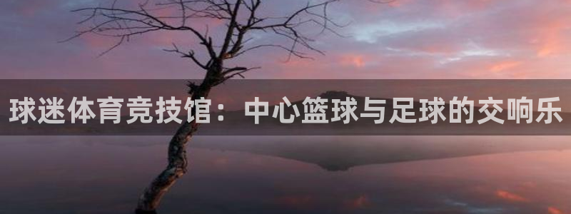 xc体育
