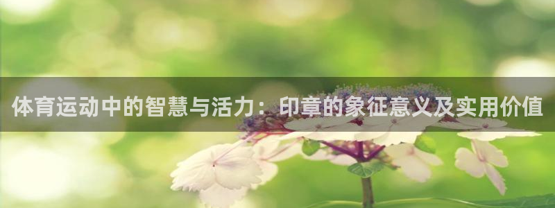 xc体育