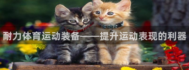 xc体育