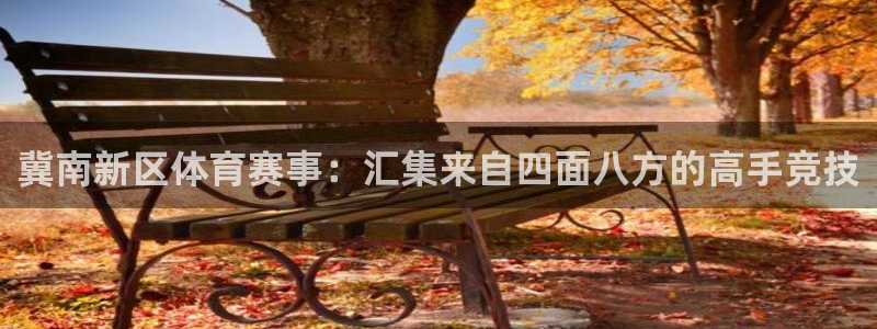 xc体育app官方网站