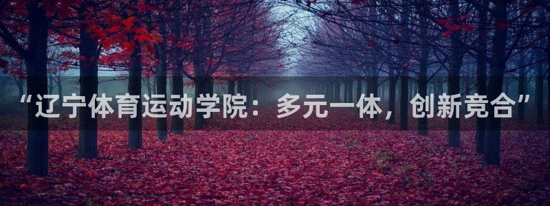 xc体育