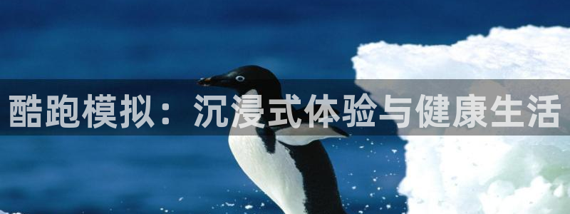 xc体育